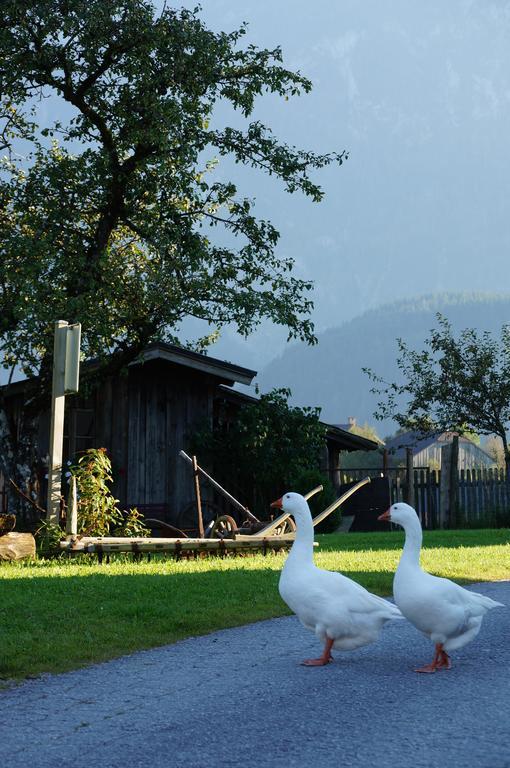 Ferienwohnungen Rettenbacher Abtenau Exteriér fotografie