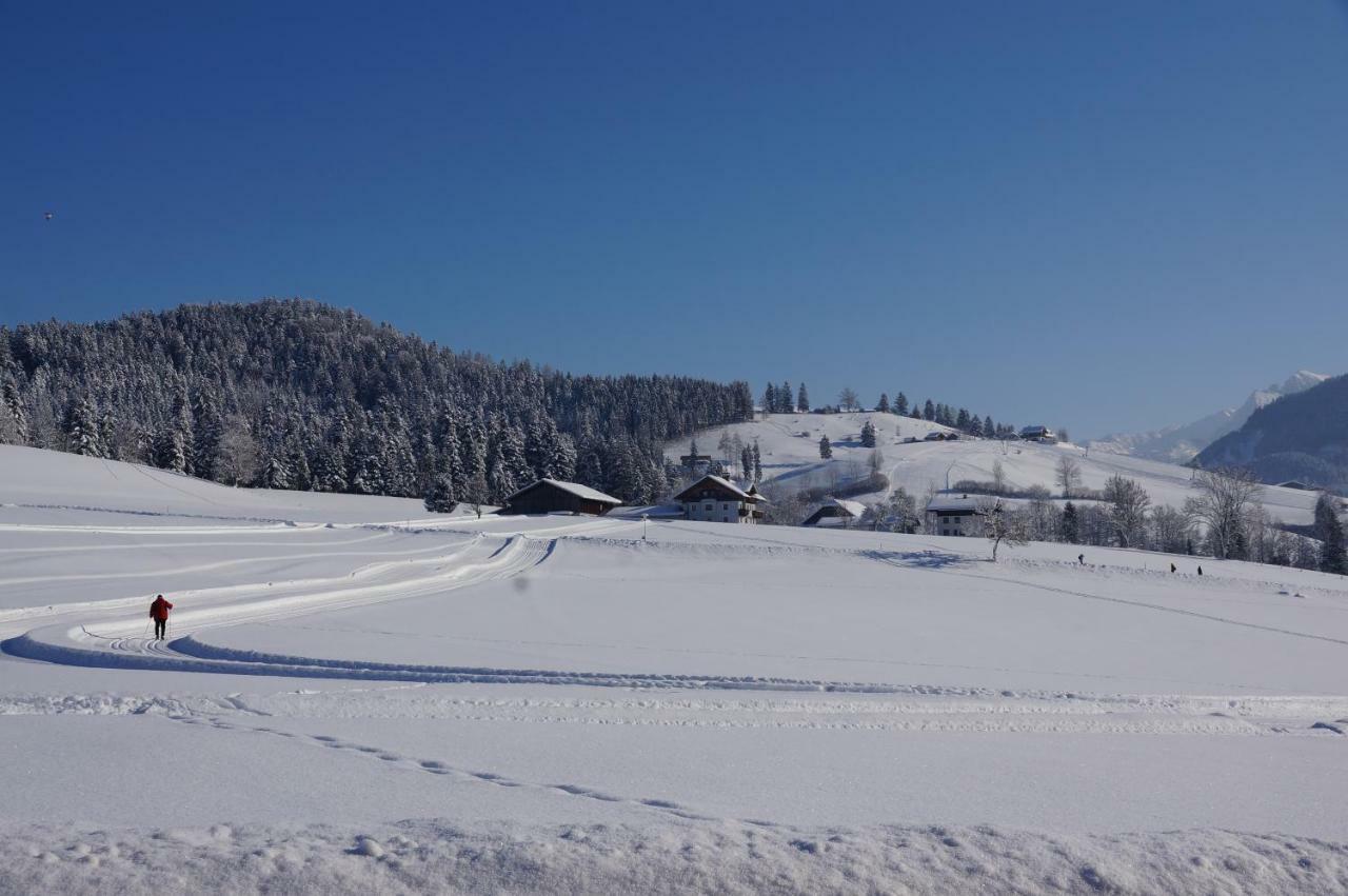 Ferienwohnungen Rettenbacher Abtenau Exteriér fotografie